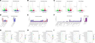 The Ovarian Development Genes of Bisexual and Parthenogenetic Haemaphysalis longicornis Evaluated by Transcriptomics and Proteomics